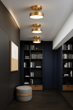 Load image into Gallery viewer, ZenDisk Ceiling Light

