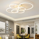 Load image into Gallery viewer, HaloArc ceiling light
