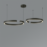 Load image into Gallery viewer, Orbit Ring Pendent lights
