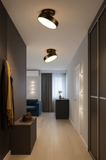 Load image into Gallery viewer, ZenDisk Ceiling Light
