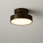 Load image into Gallery viewer, ZenDisk Ceiling Light
